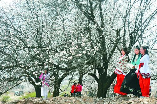 维多利亚308线路检测示意图